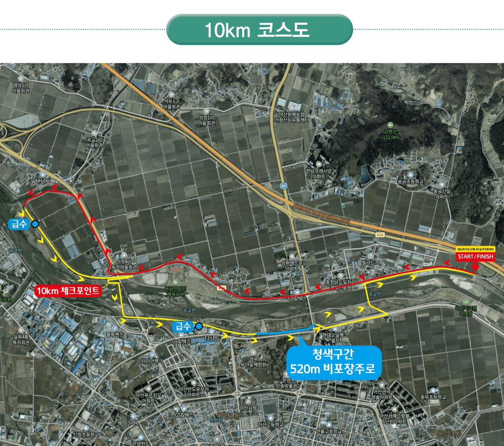 아산은행나무길마라톤 10km 공식 코스도